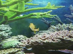 -泉州海丝野生动物世界