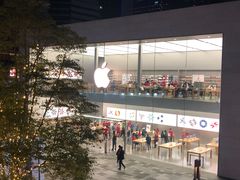 -Apple零售店(成都太古里店)