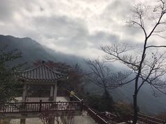 -广州市石门国家森林公园