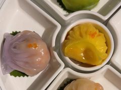 -点都德·毕德寮