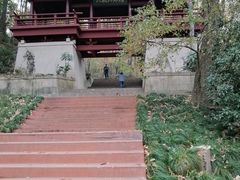 -紫霞湖公园