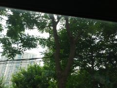 -新湖明珠城