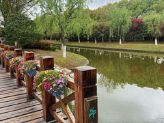 -上海鲜花港