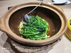 虾酱生啫空心菜-日进一片海.生腌海鲜火锅.宵夜烧烤(三里屯总店)