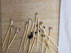 -北京观赏动物医院·24小时大型综合·猫专科·异宠专科