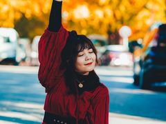 -三里屯东五街银杏大道