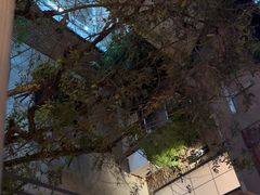 -羊门客在·烤盐池滩羊·川菜