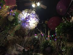 -树洞桌游宠咖小酒馆