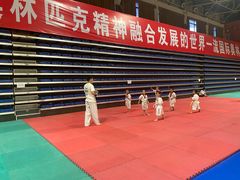 -武术世家少儿培训中心(首都体育学院店)