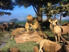 -国家自然博物馆