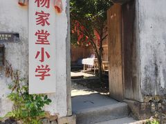 -杨家堂村