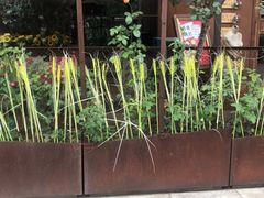 -胡桃里音乐酒馆(石家庄店)