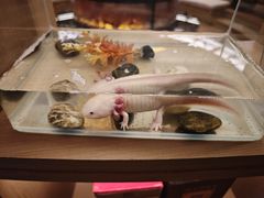 -御海8号温泉酒店