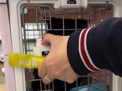 -宠颐生斯嘉宠物医院·急重症·心内科(谷阳北路分院)