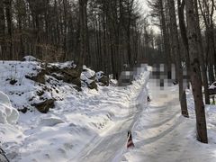-洛阳白云山景区