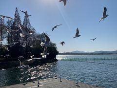 -渤公岛生态公园