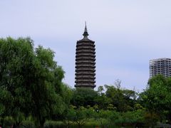 -西海子公园
