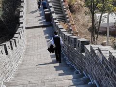 -黄贤森林公园