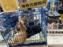 -万达广场(松江店)