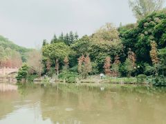 -云溪植物园