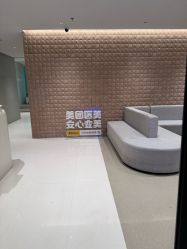 点击看大图 -BR光电保养