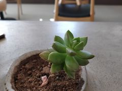-今日艺术汇书店