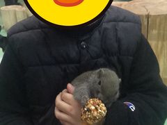 -藦茜花园宠物主题亲子互动体验馆(国顺东路店)