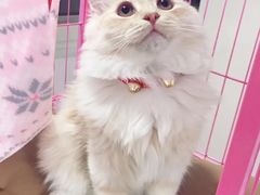 -宠颐生中康贝怡动物医院