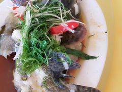 清蒸老虎斑-真味馆(侨港碧海银滩店)