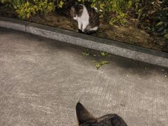 -味友·厦门味(集美店)