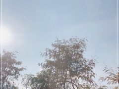 -美心红酒小镇游乐园