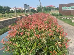 -千龙湖生态旅游度假区