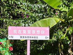 -莫里热带雨林景区