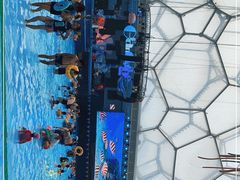 -水立方嬉水乐园