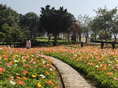 -厦门园林博览苑