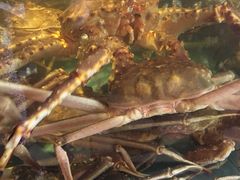 -蟹之国·精品蟹料理(极地店)