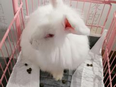 -成都失恋馆