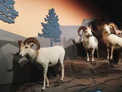 -陕西自然博物馆