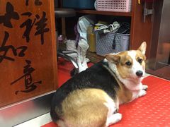 -老四川平头酸菜鱼(衙前店)