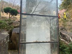 -香雪海