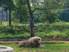 -秦皇岛野生动物园