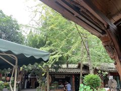 -青城甲(青城山店)