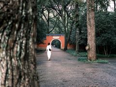 -灵谷景区