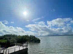 -深圳湾公园(南山区)