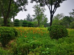-燕郊植物园