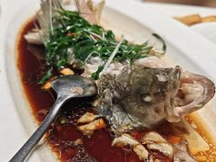 -院里寻菜·精致庭院菜(观沙岭店)