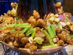-蛙麻蛙辣炭火蛙锅(南环大街店)