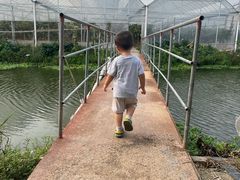 -马陆小张葡萄园农家乐