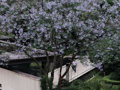 -石井坡(地铁站)