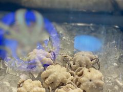 -铭聚章鱼土笋冻(松柏店)